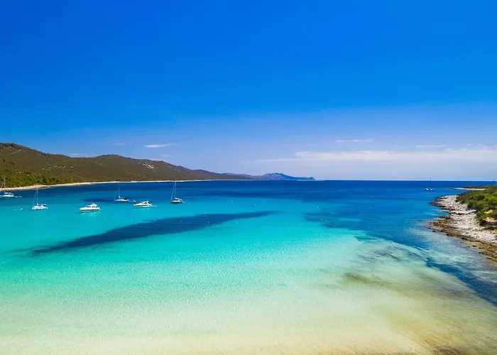 Maraska Park Daire *